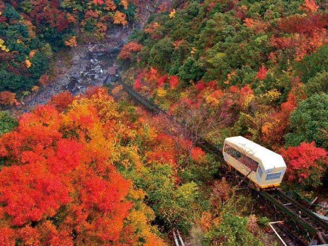和の宿ホテル祖谷温泉
