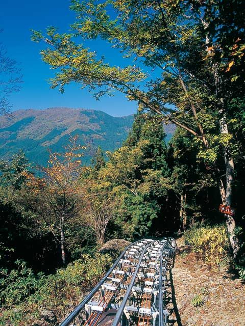 奥祖谷観光周遊モノレール