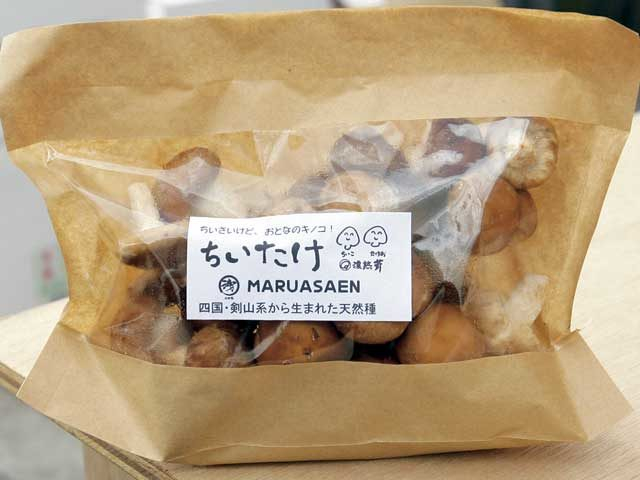 【徳島×産直市】JR徳島駅近くの新町川沿いに約80店舗のパラソルショップが集結「とくしまマルシェ」