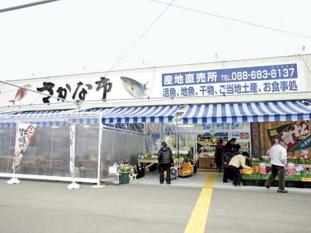 【徳島×産直市】漁協直営の鮮魚市「JF北灘 さかな市」