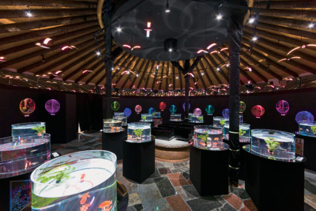 水中楽園AQUARIUM