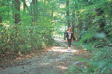 【愛媛・石鎚&面河×ドライブ】蓬莱渓