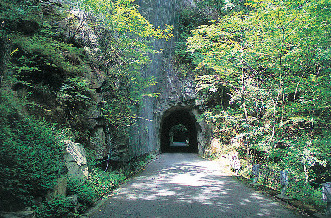 【石鎚&面河】ドライブコースはこちら!