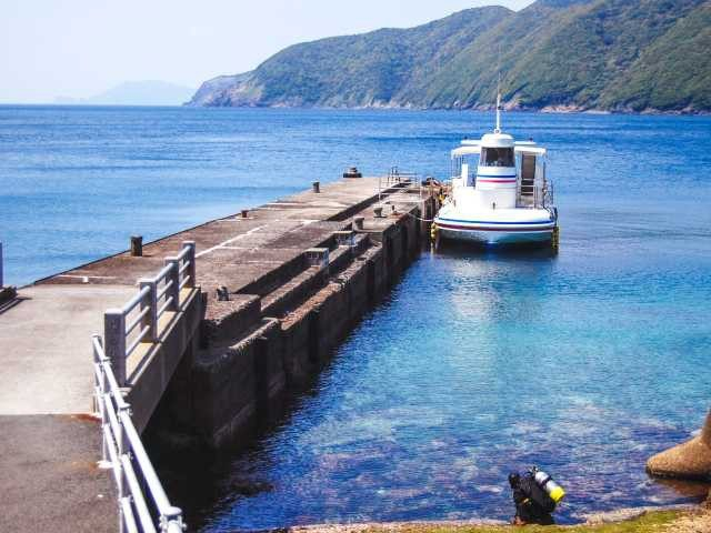 愛南の観光スポット 「海底が見える船」ユメカイナ・ガイヤナ