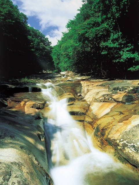 【四国カルスト&滑床渓谷×観光 2日目】自然に抱かれた渓谷は愛媛屈指の癒しスポット「滑床渓谷」