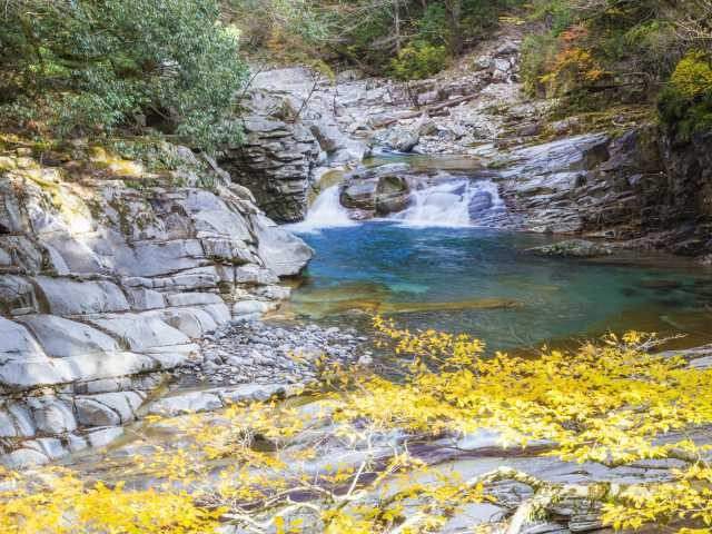 【愛媛・石鎚&面河×ドライブ】蓬莱渓