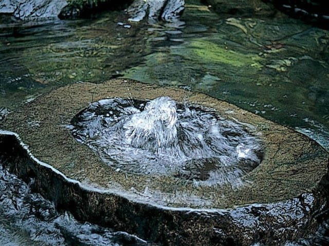 西条水めぐり〜うちぬき散歩〜