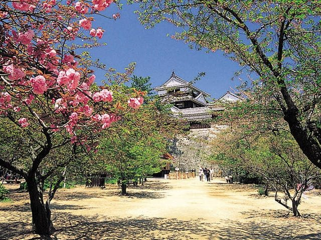 さくら名所100選の観光スポット「城山公園」