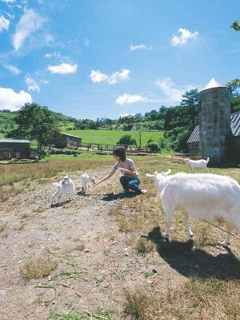 【四国カルスト&滑床渓谷×観光 1日目】かわいい動物たちとふれあえる「ポニー牧場」