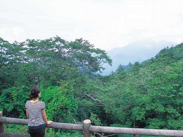 【石鎚&面河×ドライブ】土小屋