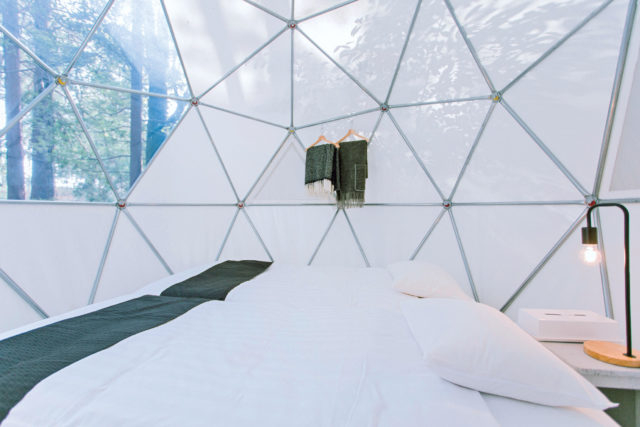 森の中に浮かぶ物体は浮遊感を楽しめる球体テント「INN THE PARK」