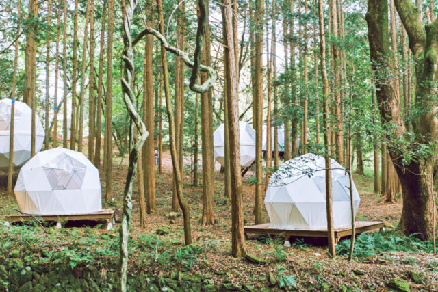 森の中に浮かぶ物体は浮遊感を楽しめる球体テント「INN THE PARK」