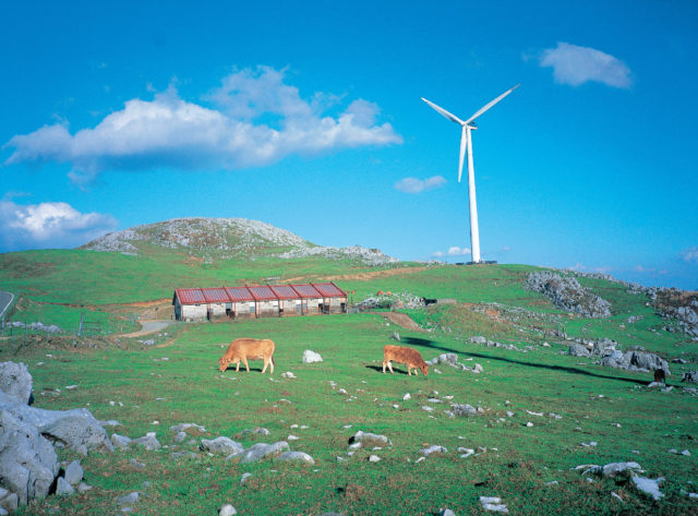 【四国カルスト&滑床渓谷×観光 1日目】丘陵地から山々を一望する「姫鶴平」