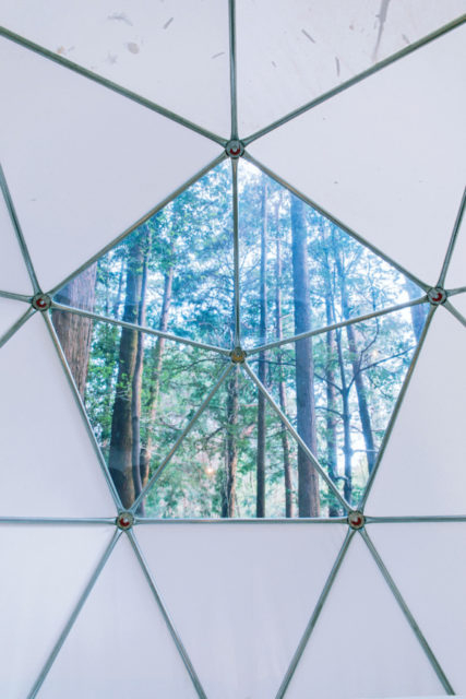 森の中に浮かぶ物体は浮遊感を楽しめる球体テント「INN THE PARK」