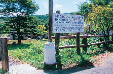 【四国カルスト&滑床渓谷×観光】旅で見つけたスローな風景をご紹介します