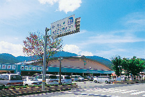 【四国カルスト&滑床渓谷×観光 2日目】いろいろ楽しめる複合施設「虹の森公園」