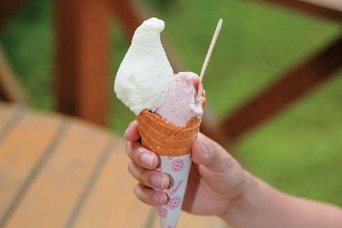 ナチュラ・ヴィータ