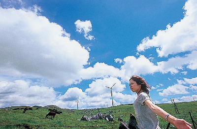 【四国カルスト&滑床渓谷×観光 1日目】丘陵地から山々を一望する「姫鶴平」