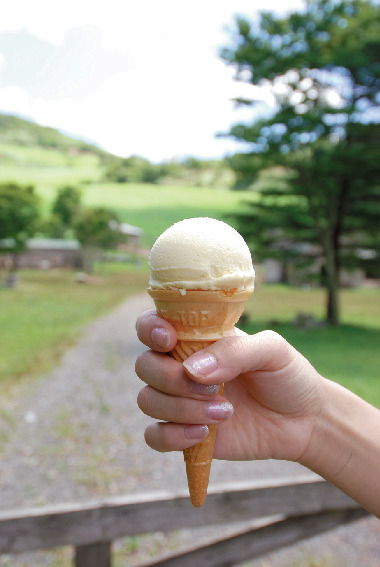 【四国カルスト&滑床渓谷×観光】旅で見つけたスローな風景をご紹介します