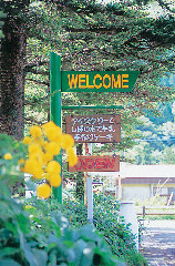 【四国カルスト&滑床渓谷×観光】旅で見つけたスローな風景をご紹介します