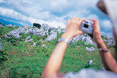 【四国カルスト&滑床渓谷×観光】旅で見つけたスローな風景をご紹介します
