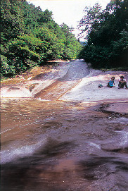 【四国カルスト&滑床渓谷×観光】旅で見つけたスローな風景をご紹介します