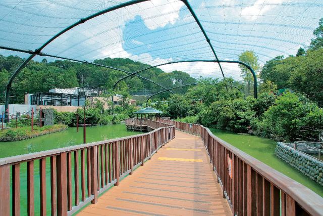 【静岡・日本平動物園×展示法】フライングメガドーム
