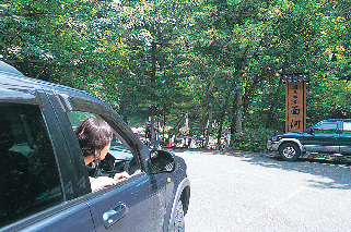 【石鎚&面河×ドライブ】面河渓