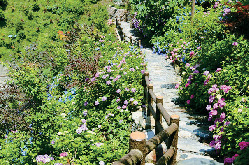 【徳島・祖谷×ケーブルカーで行く露天風呂】ケーブルカーで上る天空の湯でおなじみ「新祖谷温泉 ホテルかずら橋」