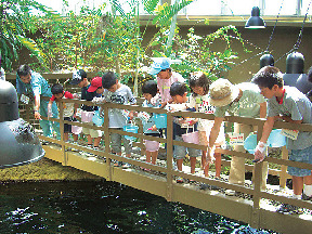 【四国カルスト&滑床渓谷×観光 2日目】いろいろ楽しめる複合施設「虹の森公園」