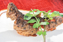 【静岡・オクシズ×観光】魚魚の里