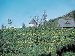 あすたむらんど徳島