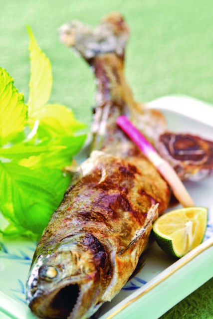 和の宿ホテル祖谷温泉