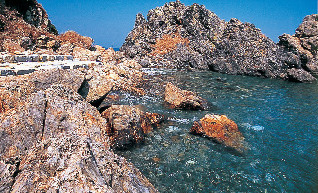 愛南の観光スポット 鹿島