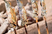 【静岡・オクシズ×観光】魚魚の里