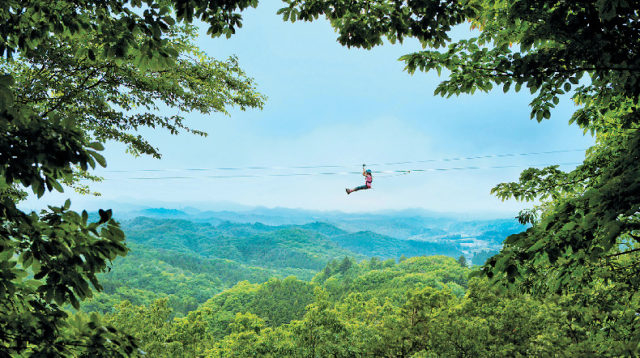 【栃木・ツインリンクもてぎ×アクティビティ】森のジップライン ムササビ