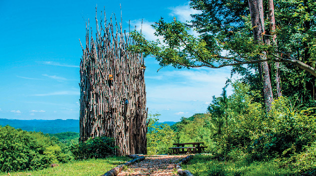 【栃木・ツインリンクもてぎ×アクティビティ】ハローウッズ どんぐりの森
