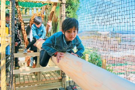 【栃木・ツインリンクもてぎ×アクティビティ】森感覚アスレチック DOKIDOKI