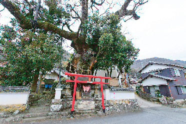【立杭の丹波焼】まずはここへ! 里山に囲まれた丹波焼の郷「丹波伝統工芸公園立杭陶の郷」