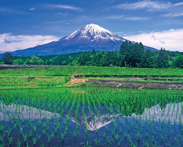 富士宮 富士山 里山ドライブ おすすめスポット 観光旅行メディア まっぷるトラベルガイド
