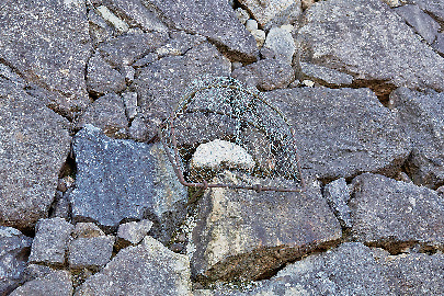 石不足を補った「姥が石」