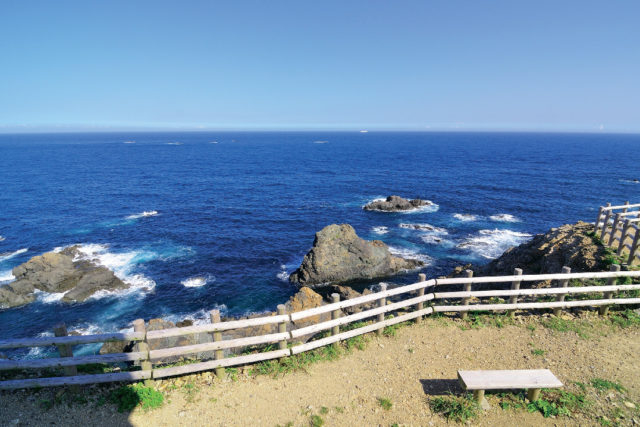 【エリアで注目!BEST3】1.シーサイドドライブ