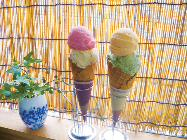 【徳島の道の駅】道の駅 第九の里