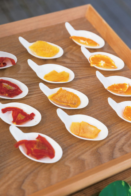 【徳島×産直市】JR徳島駅近くの新町川沿いに約80店舗のパラソルショップが集結「とくしまマルシェ」