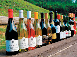 ココ・ファーム・ワイナリーの成り立ち