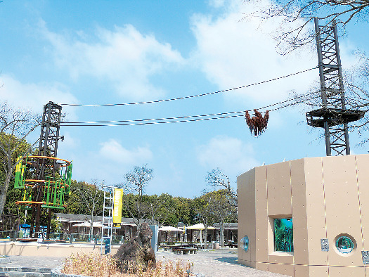【愛媛県立とべ動物園×必見スポット】オランウータン舎