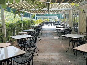 ココ・ファーム・カフェのランチ