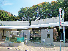 【愛媛県立とべ動物園×必見スポット】カワウソ舎