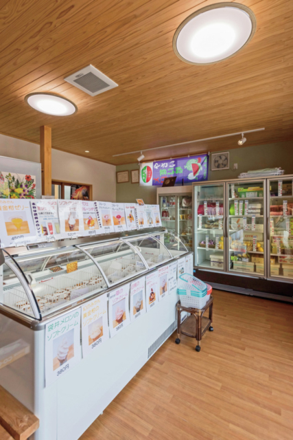 本物のフルーツで作った夢のようなソフトクリーム「なかやすフルーツ」