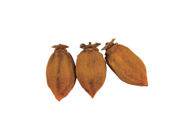 【徳島×産直市】新鮮な野菜や果物、徳島メイドの加工品がずらり「阿波食ミュージアム」